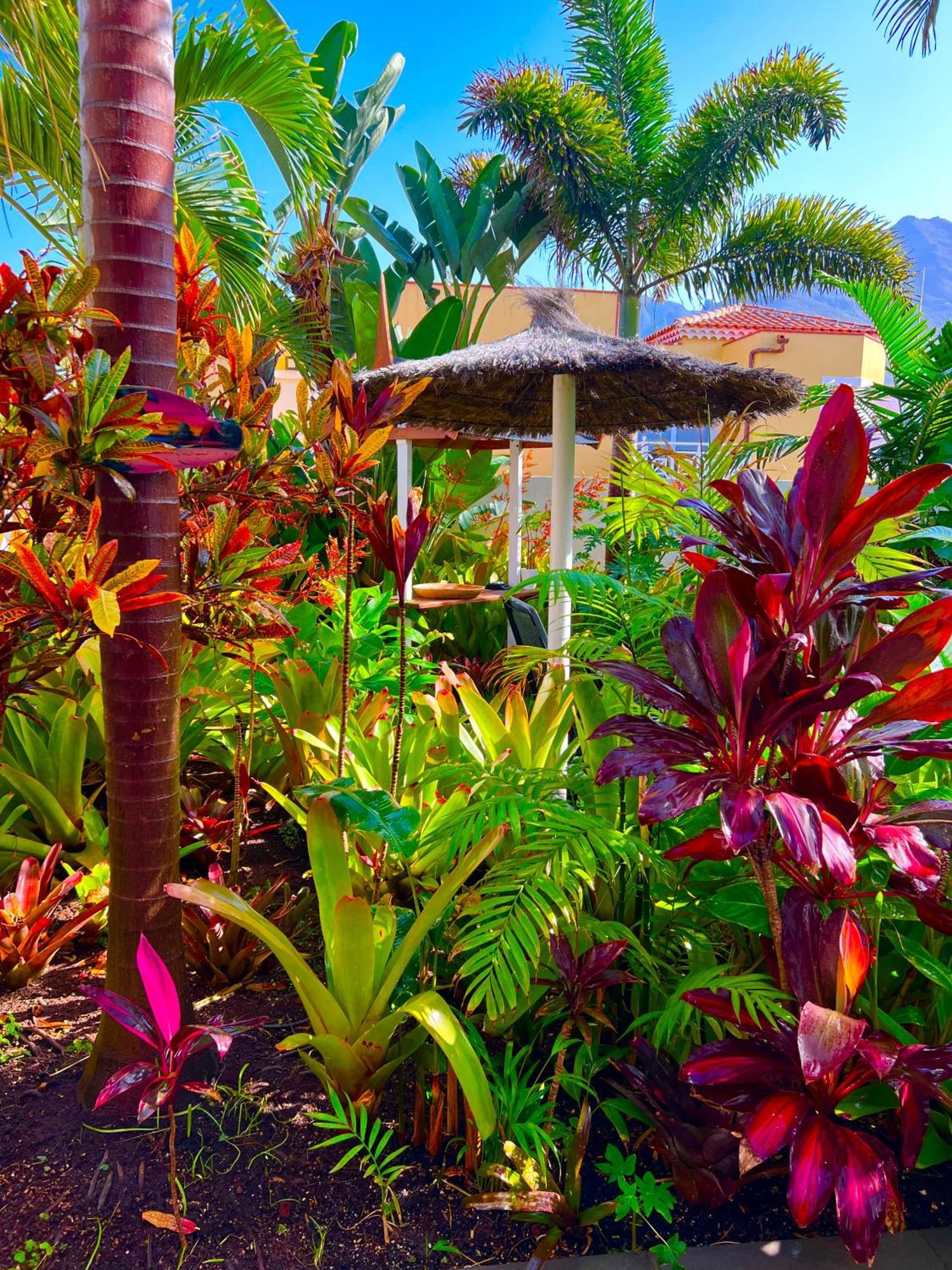 La Selvita Bajamar  Extérieur photo